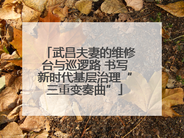 武昌夫妻的维修台与巡逻路 书写新时代基层治理“三重变奏曲”