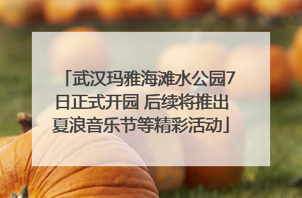武汉玛雅海滩水公园7日正式开园 后续将推出夏浪音乐节等精彩活动