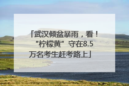 武汉倾盆暴雨，看！“柠檬黄”守在8.5万名考生赶考路上