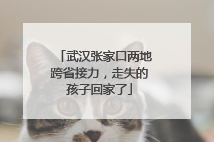 武汉张家口两地跨省接力，走失的孩子回家了