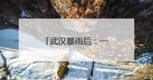 武汉暴雨后：一小学停课清淤，有商家称地下仓库数万元货物被泡