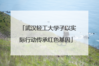 武汉轻工大学子以实际行动传承红色基因