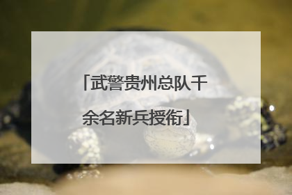 武警贵州总队千余名新兵授衔