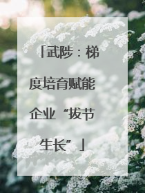 武陟：梯度培育赋能企业“拔节生长”