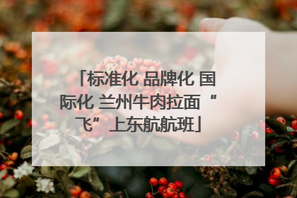 标准化 品牌化 国际化 兰州牛肉拉面“飞”上东航航班