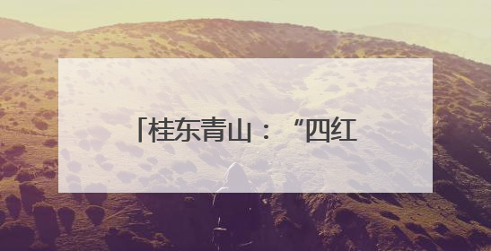 桂东青山：“四红”引领 业兴民富