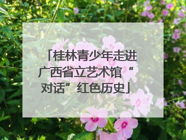 桂林青少年走进广西省立艺术馆“对话”红色历史