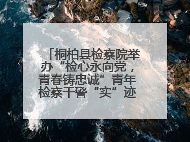 桐柏县检察院举办“检心永向党，青春铸忠诚”青年检察干警“实”迹展示活动