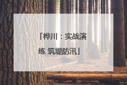 桦川：实战演练 筑堤防汛