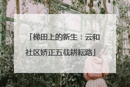 梯田上的新生：云和社区矫正五载耕耘路
