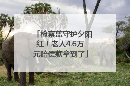 检察蓝守护夕阳红！老人4.6万元赔偿款拿到了