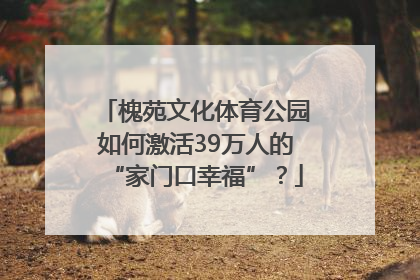 槐苑文化体育公园如何激活39万人的“家门口幸福”？