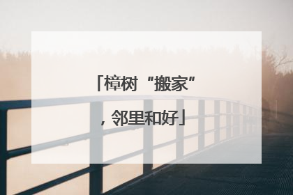 樟树“搬家”，邻里和好