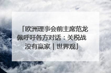 欧洲理事会前主席范龙佩呼吁各方对话：关税战没有赢家｜世界观