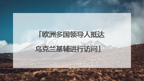 欧洲多国领导人抵达乌克兰基辅进行访问