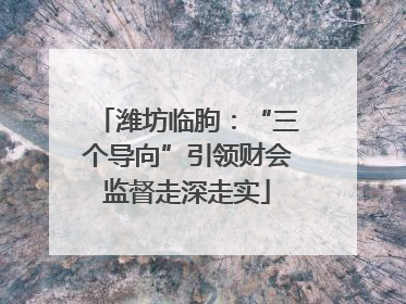 潍坊临朐：“三个导向”引领财会监督走深走实