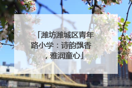 潍坊潍城区青年路小学：诗韵飘香，雅润童心