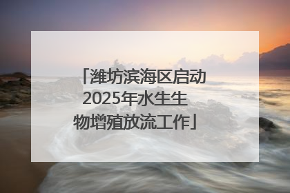 潍坊滨海区启动2025年水生生物增殖放流工作