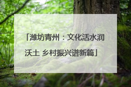 潍坊青州：文化活水润沃土 乡村振兴谱新篇