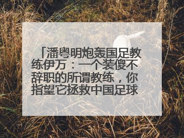 潘粤明炮轰国足教练伊万：一个装傻不辞职的所谓教练，你指望它拯救中国足球！此前曾多次发文评价国足