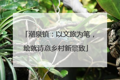 潮泉镇：以文旅为笔，绘就诗意乡村新景致