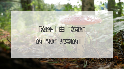 潮评丨由“苏超”的“梗”想到的