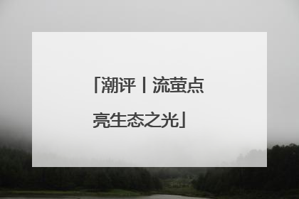 潮评丨流萤点亮生态之光