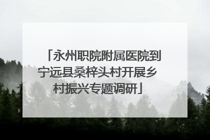 永州职院附属医院到宁远县桑梓头村开展乡村振兴专题调研