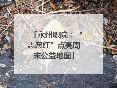 永州职院：“志愿红”点亮周末公益地图