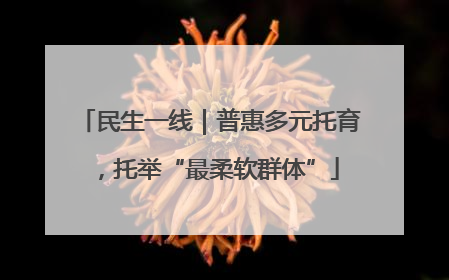 民生一线｜普惠多元托育，托举“最柔软群体”