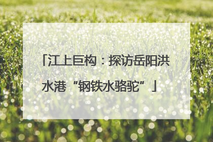 江上巨构：探访岳阳洪水港“钢铁水骆驼”