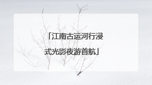 江南古运河行浸式光影夜游首航