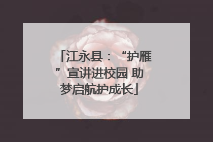 江永县：“护雁”宣讲进校园 助梦启航护成长