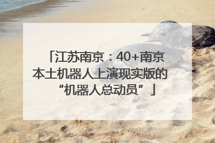 江苏南京：40+南京本土机器人上演现实版的“机器人总动员”