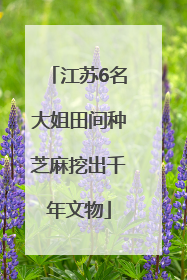 江苏6名大姐田间种芝麻挖出千年文物