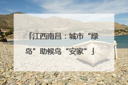 江西南昌：城市“绿岛”助候鸟“安家”