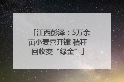 江西彭泽：5万余亩小麦喜开镰 秸秆回收变“绿金”