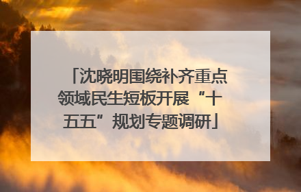 沈晓明围绕补齐重点领域民生短板开展“十五五”规划专题调研