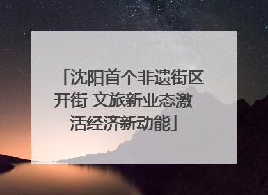 沈阳首个非遗街区开街 文旅新业态激活经济新动能