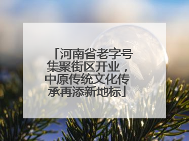 河南省老字号集聚街区开业，中原传统文化传承再添新地标