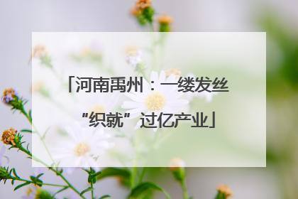 河南禹州：一缕发丝“织就”过亿产业