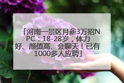 河南一景区月薪3万招NPC：18-28岁，体力好、颜值高、会聊天！已有1000多人应聘