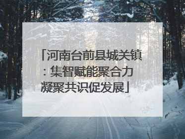 河南台前县城关镇：集智赋能聚合力 凝聚共识促发展