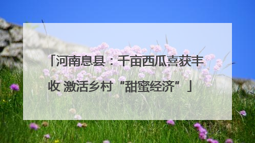 河南息县：千亩西瓜喜获丰收 激活乡村“甜蜜经济”