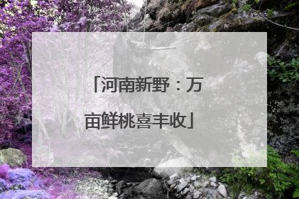 河南新野：万亩鲜桃喜丰收