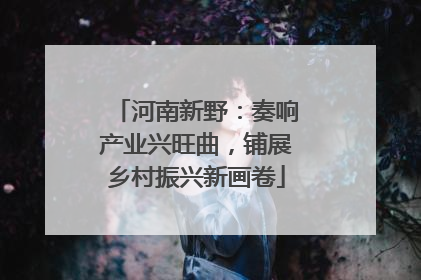 河南新野：奏响产业兴旺曲，铺展乡村振兴新画卷