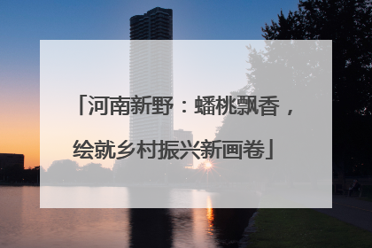 河南新野：蟠桃飘香，绘就乡村振兴新画卷