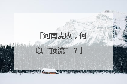 河南麦收，何以“顶流”？