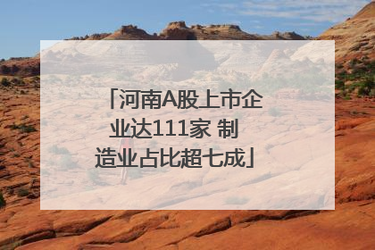 河南A股上市企业达111家 制造业占比超七成