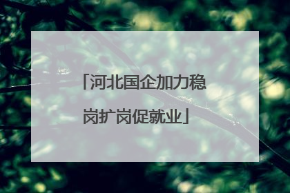 河北国企加力稳岗扩岗促就业